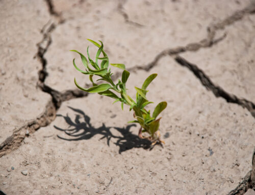 Resilienz