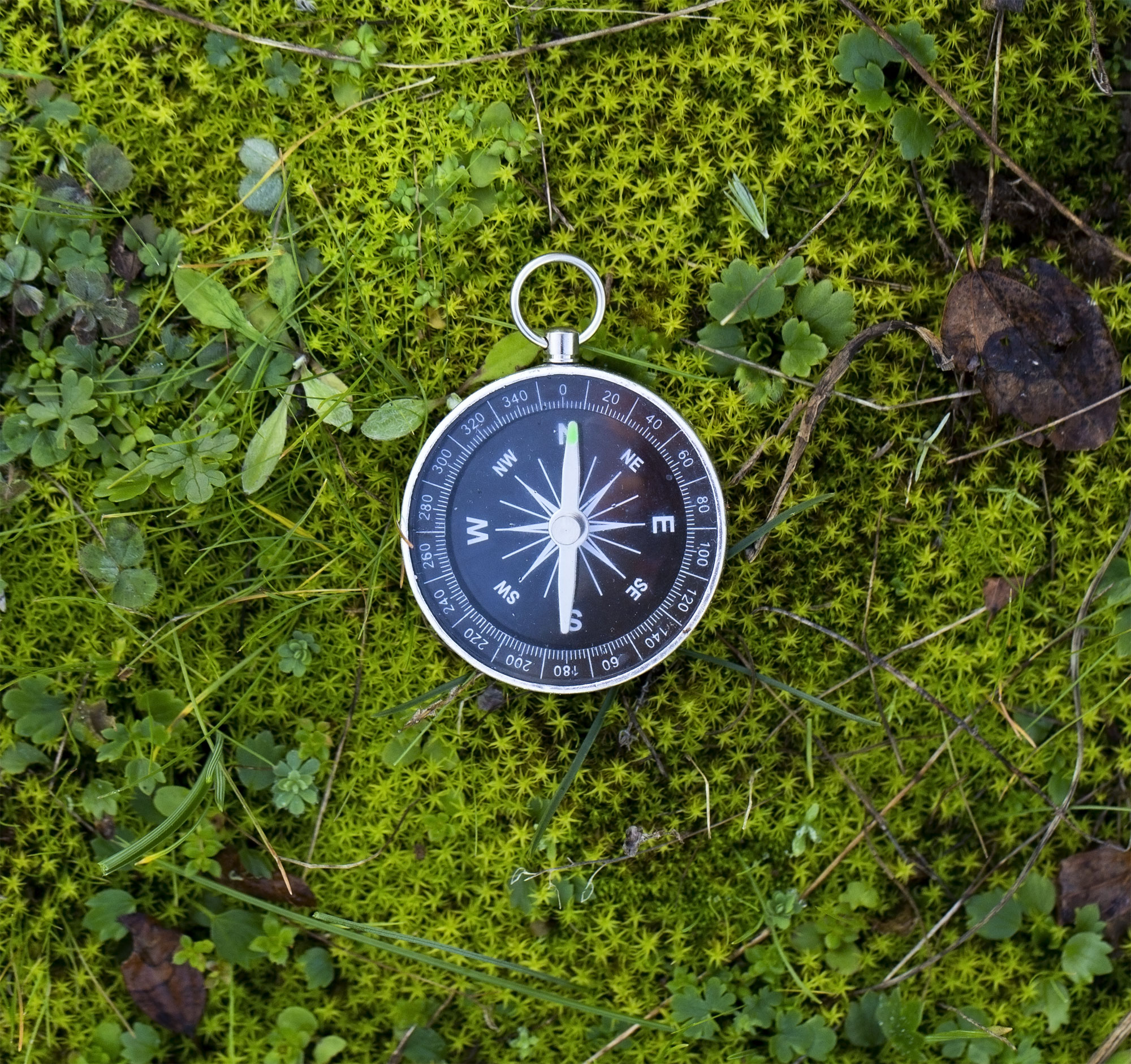 bushcraft compass in forest
